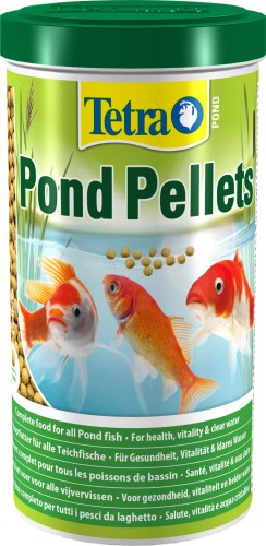 prod_913049_0_7beadf7e0_large.jpg