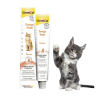 Pasta Energetyczna Witaminowa Smakołyk dla Kotów Gimcat EnergyExtra 50g