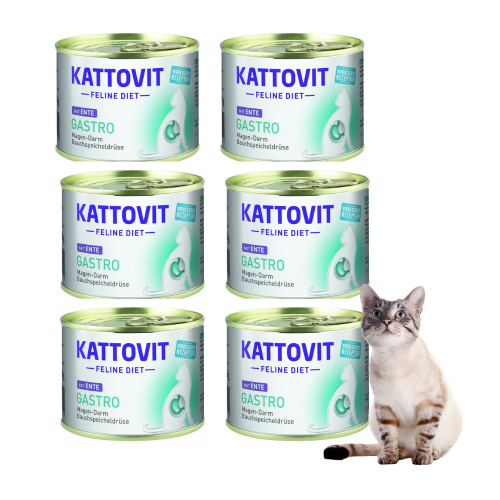 f08e209d86de623eacf7cd38912bb770.png