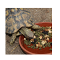 d8dabce86bcd9ed834a8f932cb04755a.png