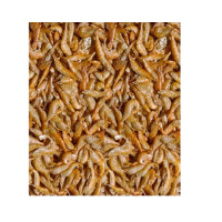 Suszone krewetki Naturalny pokarm dla żółwi dla gadów Shrimps  70 g