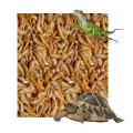 79701f0ca973e1f74aade8e3e6a975fd.png