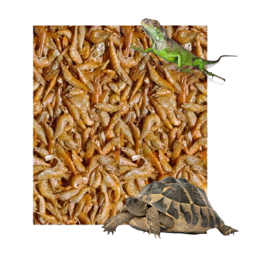 79701f0ca973e1f74aade8e3e6a975fd.png