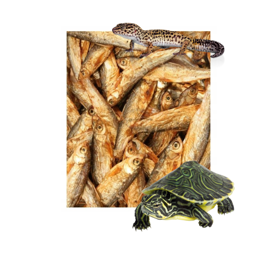 2910ef99a7d5b157e06ca1c8c2dab5f3.png
