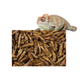 a2912980f02c08ec9f2467eb1c3c6524.png