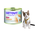 db437c2cbb0b4494a532178a5155f263.png